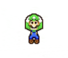 a pixel art drawing of a person wearing a green hat and overalls .