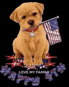 independence day happy4th of july independence dog love my family