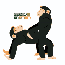 premiosbonobo mono monos bonobo bonobos