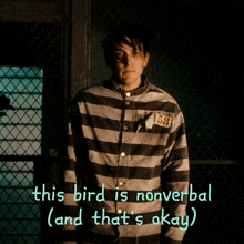 Nonverbal This Bird Is Nonverbal GIF