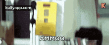 Ammoo.Gif GIF - Ammoo Scared Fear GIFs