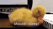 Sleepy Ducky GIF