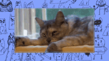 Asustado Miau GIF - Asustado Miau Gato GIFs