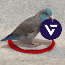 Vcoin GIF - Vcoin GIFs