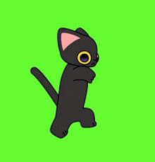 Toothless Dance Cat Toothless Cat GIF
