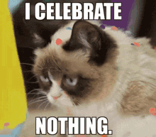 i celebrate nothing grumpy cat