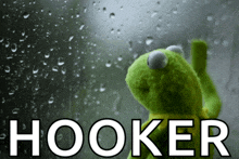 kermit the frog is looking out a window with the word hooker written on it
