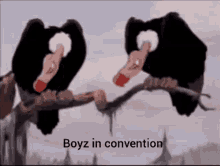 Boyz In Convention Convention Boys GIF