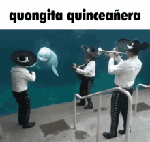 Quongus Beluga GIF - Quongus Beluga Quinceañera GIFs