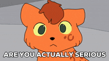 a cartoon cat with the words are you actually serious