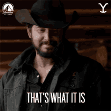 Thats What It Is Yellowstone GIF - Thats What It Is Yellowstone Exactly GIFs