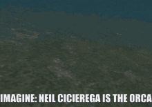 Neil Cicierega Orca GIF - Neil Cicierega Orca Swimming GIFs