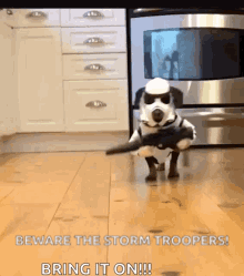 Dog Trooper Dogs GIF - Dog Trooper Dogs Cosplay GIFs