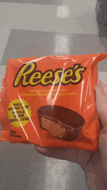 Reeses Reeses Half Pound Cup GIF - Reeses Reeses Half Pound Cup Reeses Peanut Butter Cup GIFs