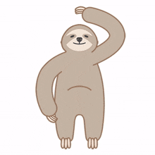 sloth animal cute boring speechless
