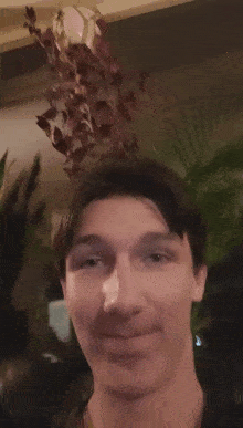 a close up of a man 's face in front of a plant .
