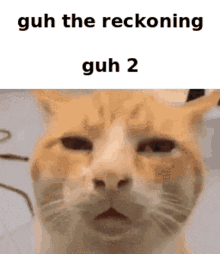 Guh2 Cat GIF - Guh2 Guh Cat GIFs
