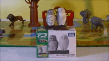 a box of takara tomy owls sits on a table