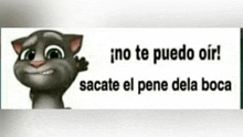 a cartoon cat with the words no te puedo oir sacate el pene dela boca on it