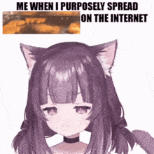 a picture of a cat girl with purple hair and cat ears with the caption me when i purposely spread on the internet