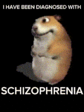 a picture of a hamster with the words i have been diagnosed with schizophrenia on it