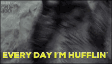 hufflepuff harry potter hufflin every day im hufflin hufflepride