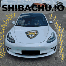 Shibachu Shibachutoken GIF - Shibachu Shibachutoken Tesla GIFs