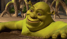 Shrek Smile GIF - Shrek Smile GIFs