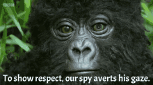 Spy Gorilla GIF - Spy Gorilla Robot GIFs