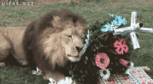 Lion Rolling In Flowers GIF - Animals Lions Cats GIFs