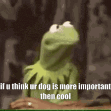 kermit the frog from sesame street is sitting at a desk and talking to someone .
