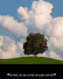 a tree on top of a grassy hill with a quote in a foreign language