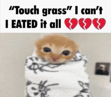 Grass Eated GIF - Grass Eated GIFs