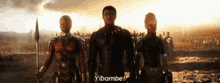 Yibambe Black Panther GIF - Yibambe Black Panther Lets Do This GIFs