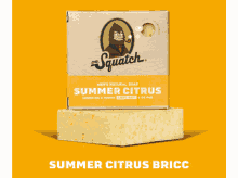 Summer Citrus Summer GIF - Summer Citrus Summer Citrus GIFs