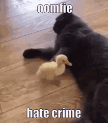 Oomfie Hate GIF - Oomfie Hate Crime GIFs