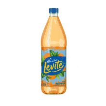 levit%C3%A9 frescura naranja juice orange juice