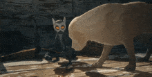 a lemur and a dog standing next to each other