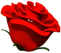 a close up of a red rose with the letters a.c. on it