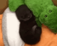 Otter Baby GIF - Otter Baby Sleepy GIFs