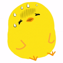 bird cute animal yellow tired