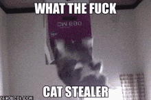 Cat Stealer Whatsapp GIF - Cat Stealer Whatsapp GIFs
