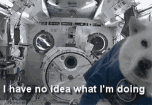I Have No Idea What Im Doing Space Dog GIF - I Have No Idea What Im Doing Space Dog Dog Tricks GIFs