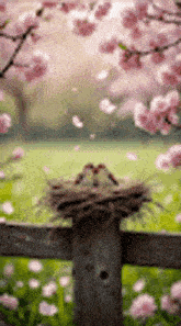 a couple of birds sitting in a nest on top of a wooden fence .