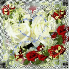 सफेद गुलाब GIF - सफेद गुलाब लाल GIFs