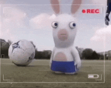 a rabbit is standing next to a soccer ball on a field