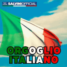 Salviniofficial Salvinigif GIF