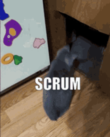 Wsrp Scrum GIF - Wsrp Scrum Cat GIFs