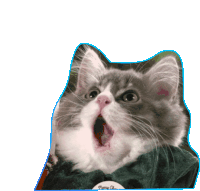 Gato Volador Kiara Sticker