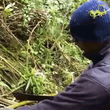 Cutting Woods Searching For Rwandas Famed Mountain Gorillas GIF - Cutting Woods Searching For Rwandas Famed Mountain Gorillas World Gorilla Day GIFs